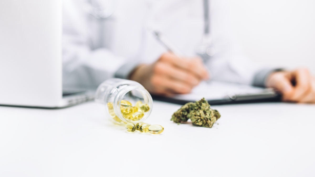 a doctor writing a recommendation with a bottle of pills and a few cannabis nugs on his desk
